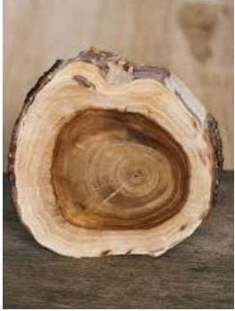 Sandalwood (A+) 100% Pure Essential Oil - Moroccan