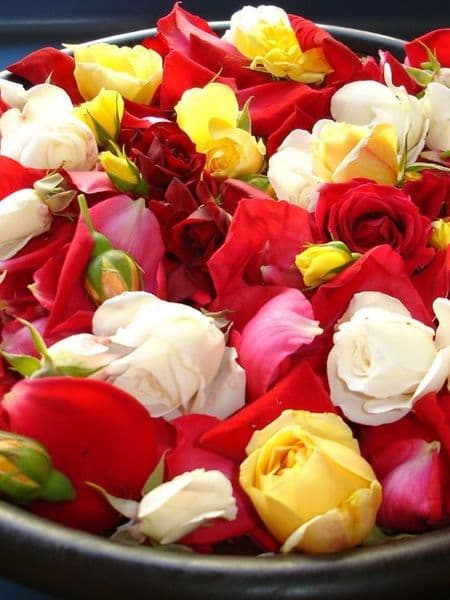 Rose & Sandalwood Essential Oil Blend