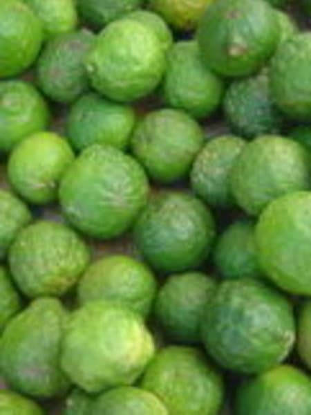 Lime 100% Pure Essential Oil 10ml