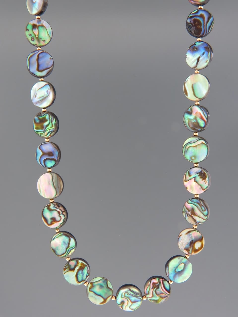 Paua Shell