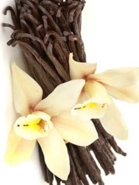 Vanilla Absolute Essential Oil 10ml
