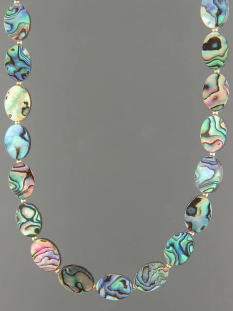 Paua Shell Necklace - 10 x 14mm oval with Gold beads