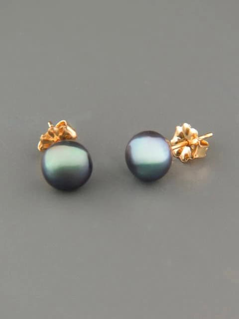 6mm dark Pearl stud Earrings - Gold - YD6ZG