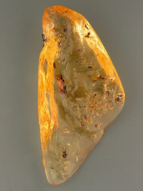 Copal - Polished Specimen